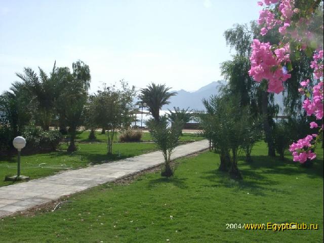 ������� ���� ����� (��������)