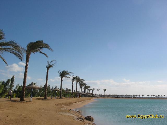 ������ � �����