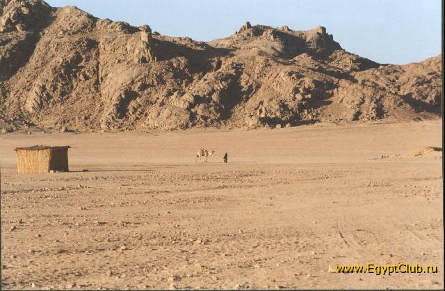 �������� �� �������