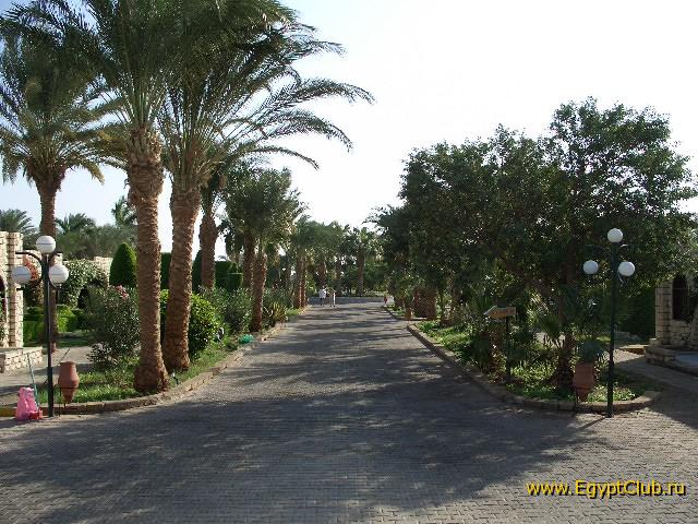 ������� �����