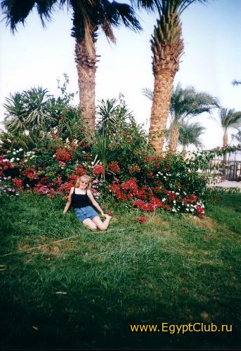 ����� ������