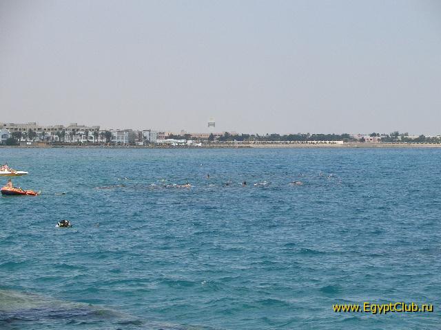 �� ������������ ����