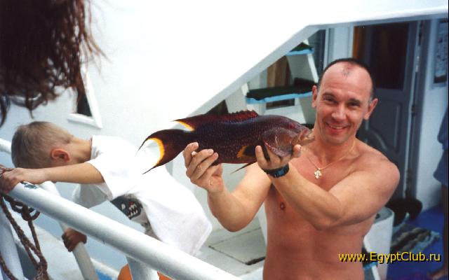 ������� �������