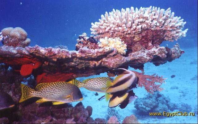 ���������!!!