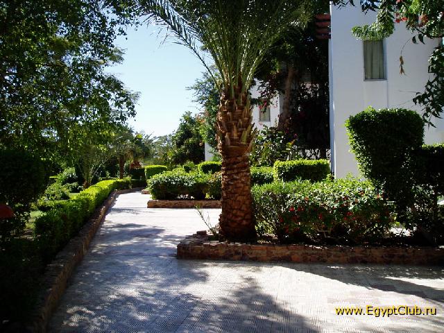 ������� � �������