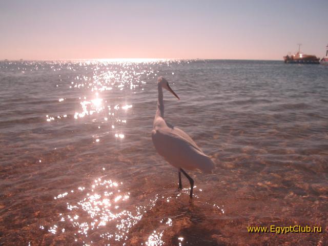 ���������� ������������� �����