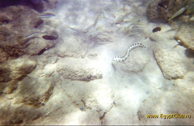 ׸ �� �����?