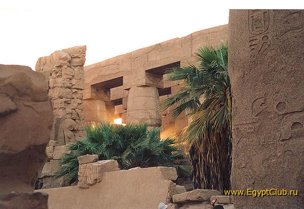 ���� ���������...