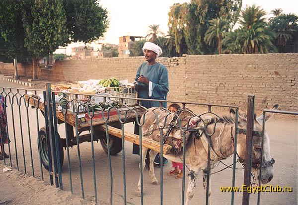 �������� �������