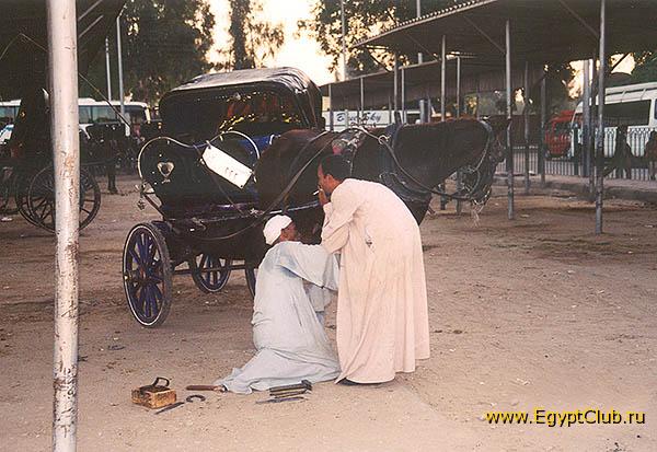 �������.