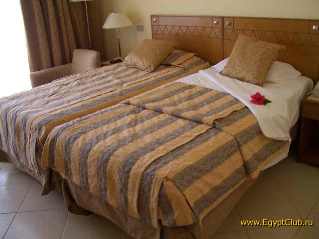 ������ 6