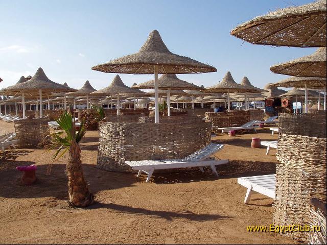 ���� ����� ��� ����