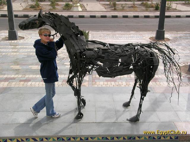 ����, ������ �����