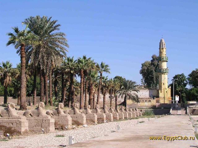 ���������� ����