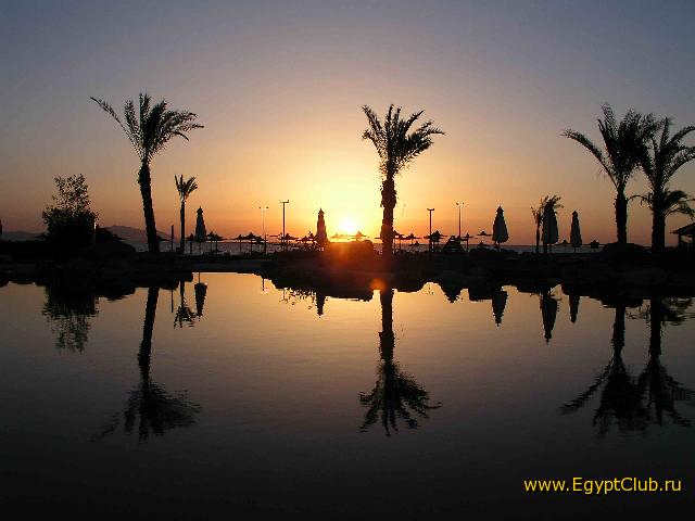 ������ ���