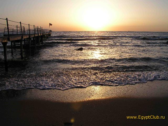 ������, ����