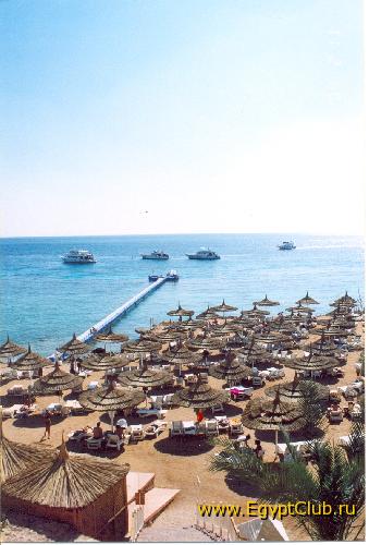 ��� ������� ����� 