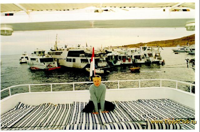 �� ���� ����� 