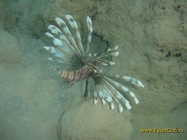 �������������