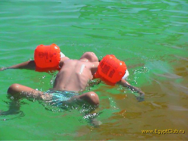 ��������� ����