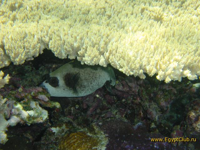 ����������