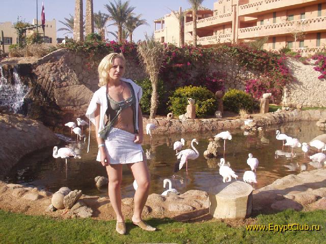 ����-�������