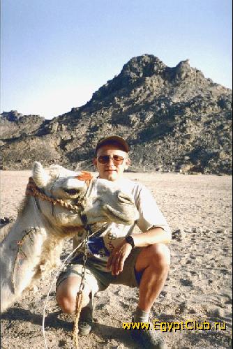 ������ � ���������