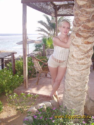 ��� �� �����