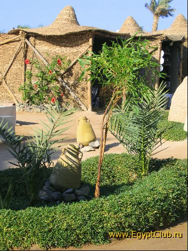 ���-����