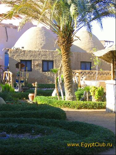 ���-����