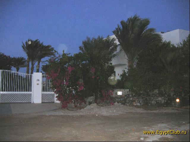 ���-����