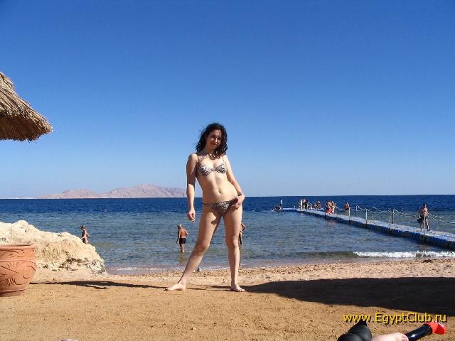 ����, ������