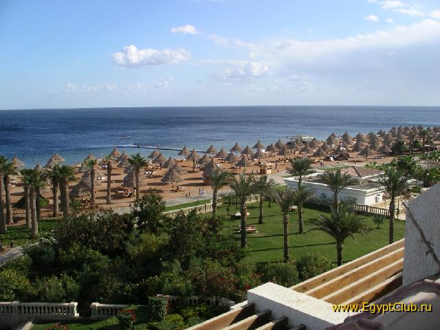 ��� �� ������