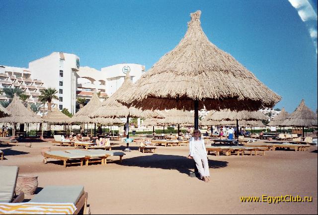 ���� �����