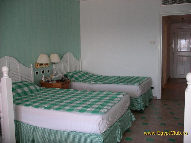 ����� �����