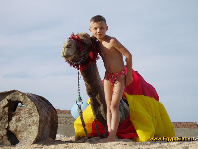 ������� ������� 