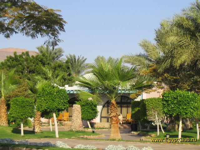 ������� ������ ����� ������