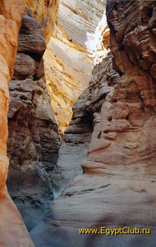 ������� ������