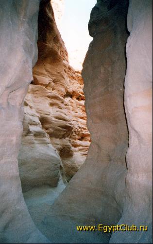 ������� ������