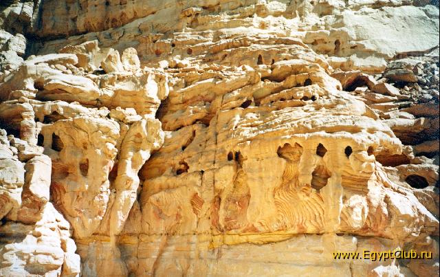 ������� ������