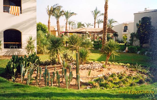 ���������� ������