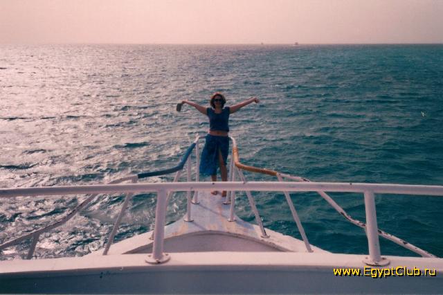 ����� �������:)