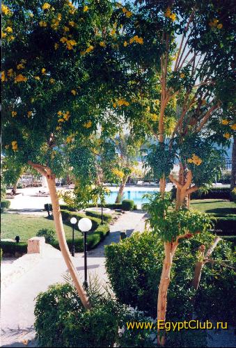 ��� ���� �������