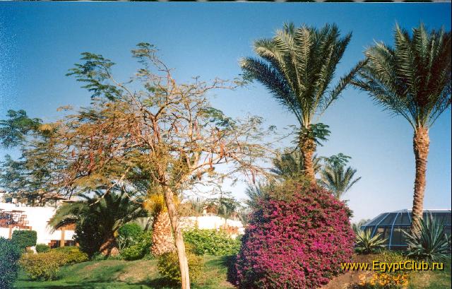 ������ � �����