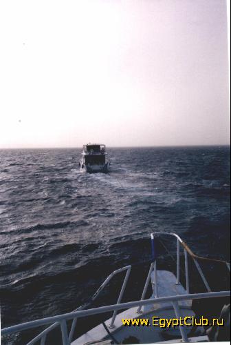 ���! ��� �������!!!!