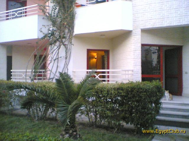 ��� �����