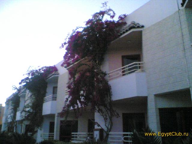 ��� ������