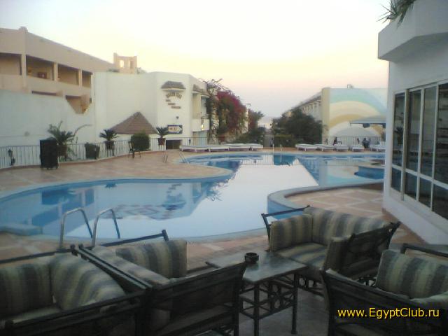 � ���������