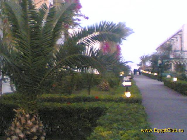 ����� ������� �� ����