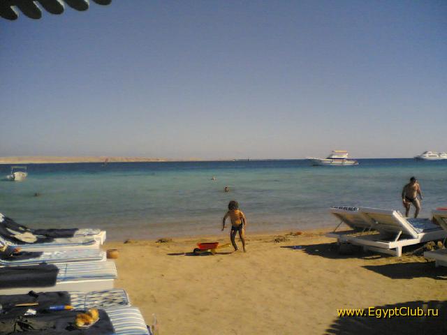 ����� ����